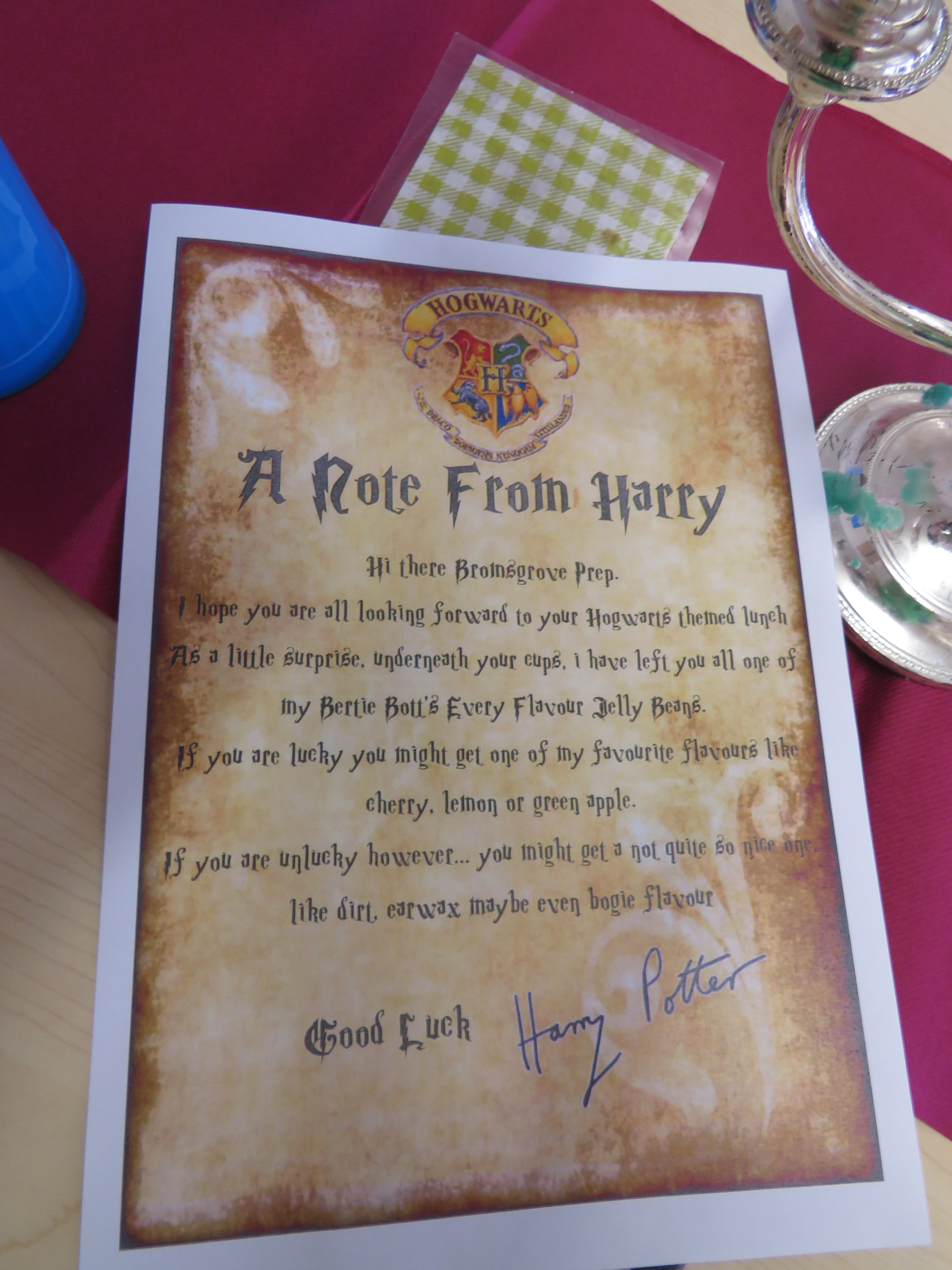 Harry Potter Day at Bromsgrove Prep School, 20th June 2017